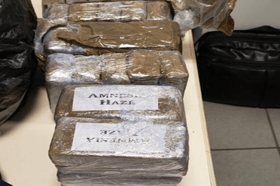 CÔTE-D’OR: Private drug traffickers of more than 18 million euros in the first half of 2022